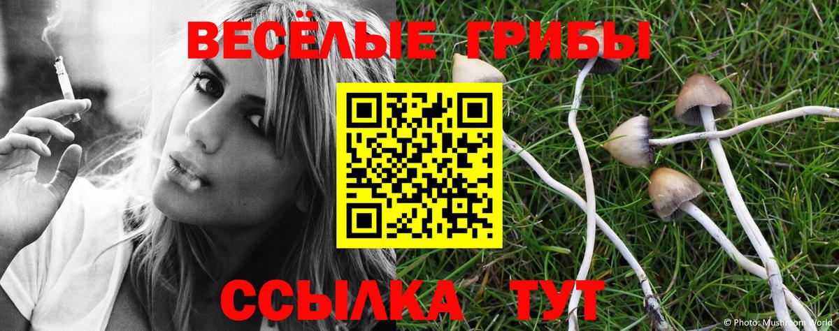 Галлюциногенные грибы Psilocybe  Вход с VPN  Тихорецк  Псилоцибиновые грибы MAGIC MUSHROOMS 